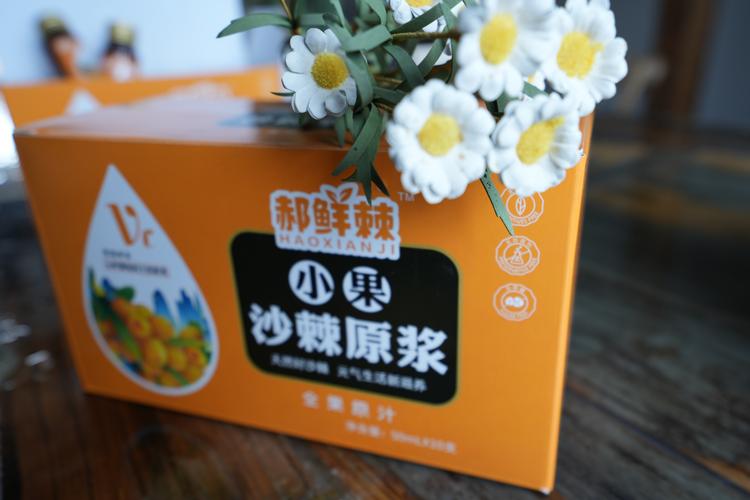 海南郝氏数字科技集团