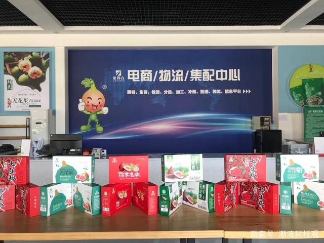 无花果生态种植:金四方果业助力发展现代农业 走品牌建设之路